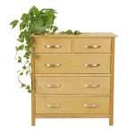 Luna Oak 5 Draw chest of drawers