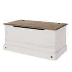 Storage Trunk