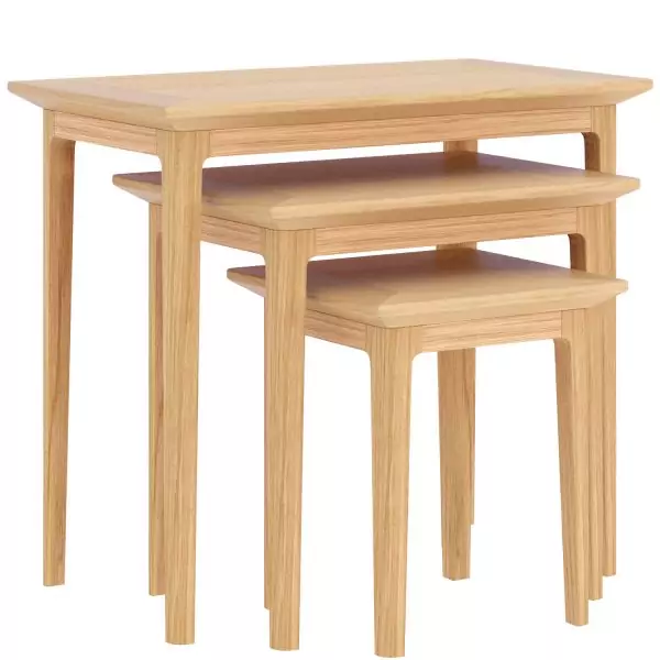 Light Oak Nest Of 3 Tables - Image 5